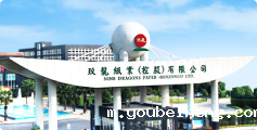 玖龙纸业