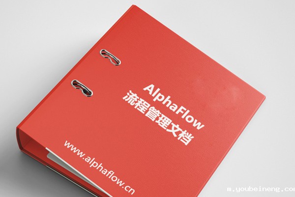 RSM法规标准平台保障企业全球化发展合规“最后一公里”