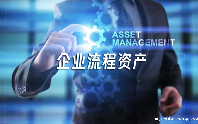 企业都有哪些流程资产呢？