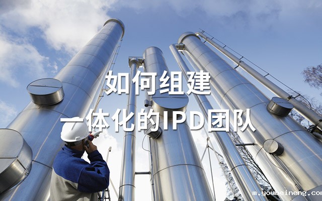 如何组建一体化的IPD团队