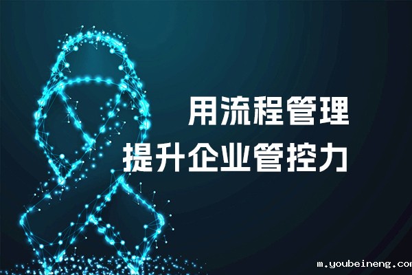 用流程管理提升企业管控力
