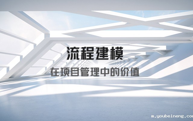 流程建模在项目管理中的价值